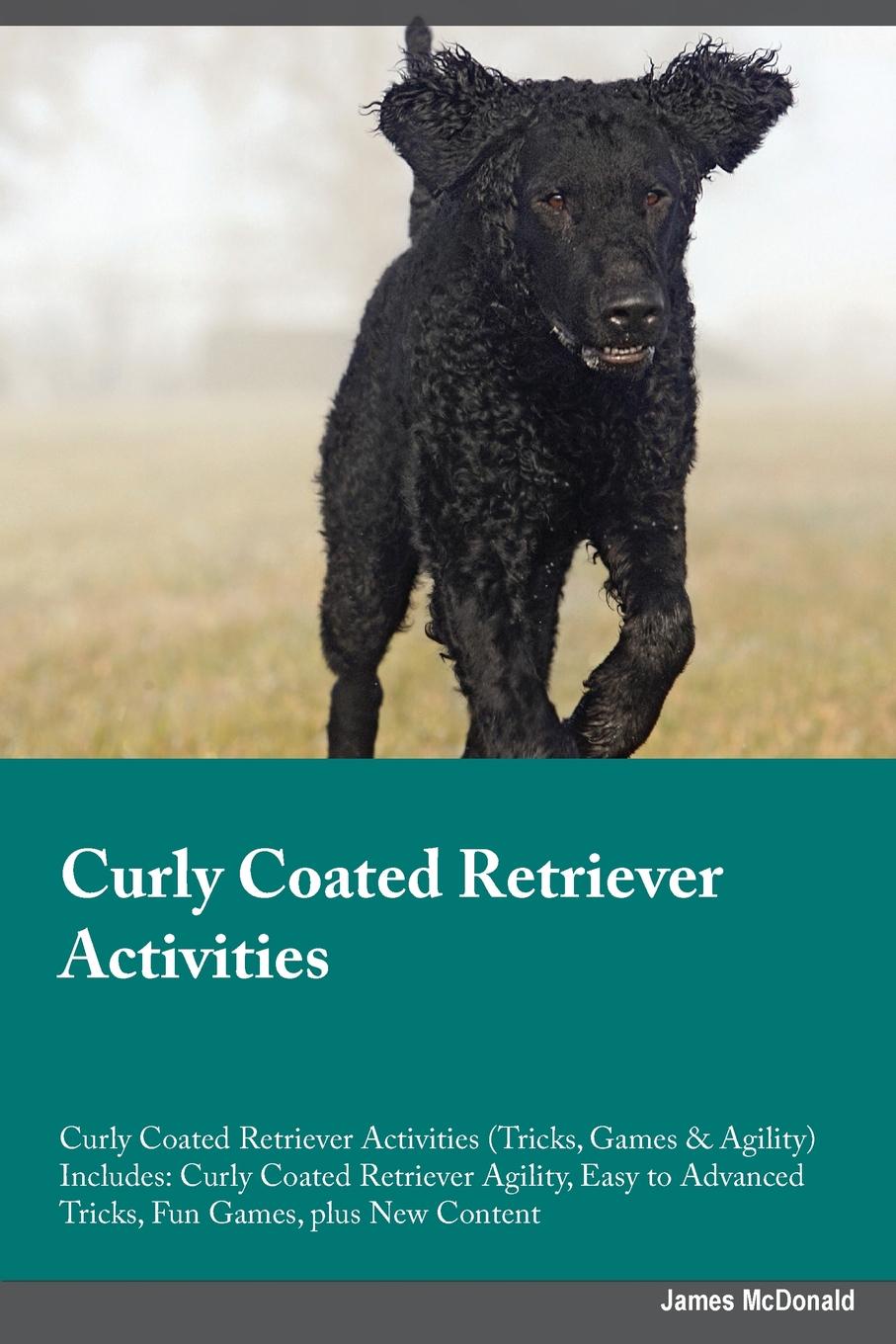 Curly Coated Retriever Activities Curly Coated Retriever Activities (Tricks, Games & Agility) Includes. Curly Coated Retriever Agility, Easy to Advanced Tricks, Fun Games, plus New Content