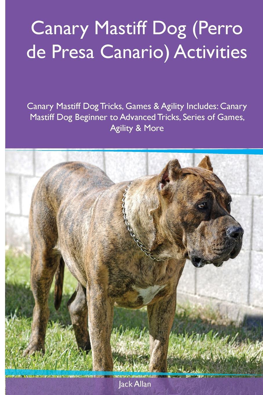 Canary Mastiff Dog (Perro de Presa Canario) Activities Canary Mastiff Dog Tricks, Games & Agility. Includes. Canary Mastiff Dog Beginner to Advanced Tricks, Series of Games, Agility and More