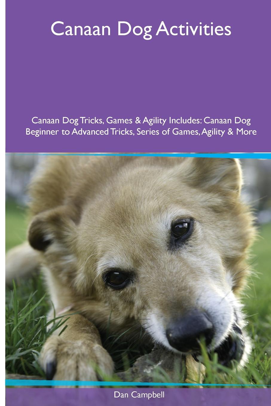 Canaan Dog  Activities Canaan Dog Tricks, Games & Agility. Includes. Canaan Dog Beginner to Advanced Tricks, Series of Games, Agility and More