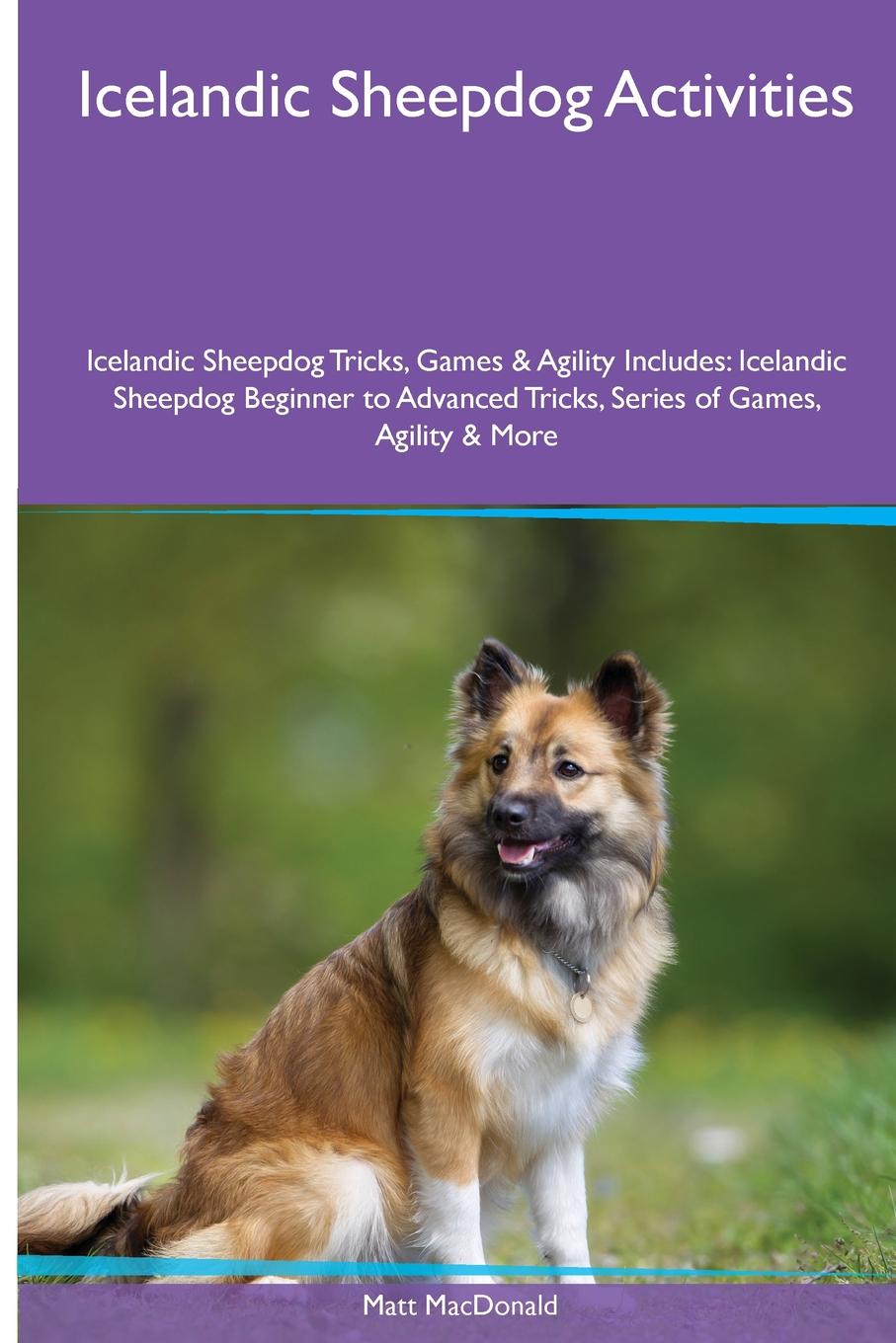 Icelandic Sheepdog  Activities Icelandic Sheepdog Tricks, Games & Agility. Includes. Icelandic Sheepdog Beginner to Advanced Tricks, Series of Games, Agility and More