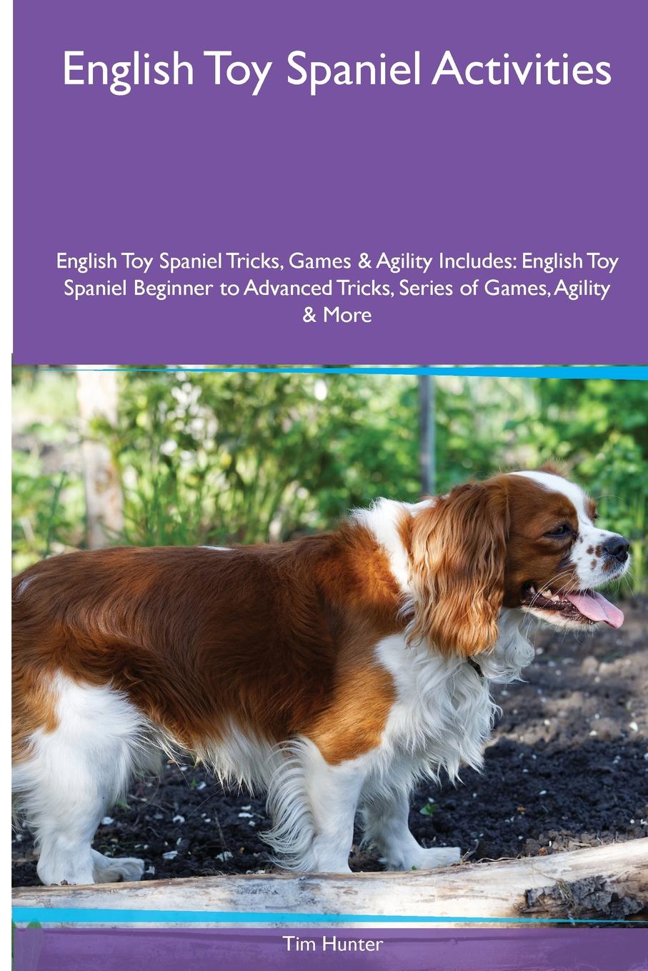 English Toy Spaniel  Activities English Toy Spaniel Tricks, Games & Agility. Includes. English Toy Spaniel Beginner to Advanced Tricks, Series of Games, Agility and More