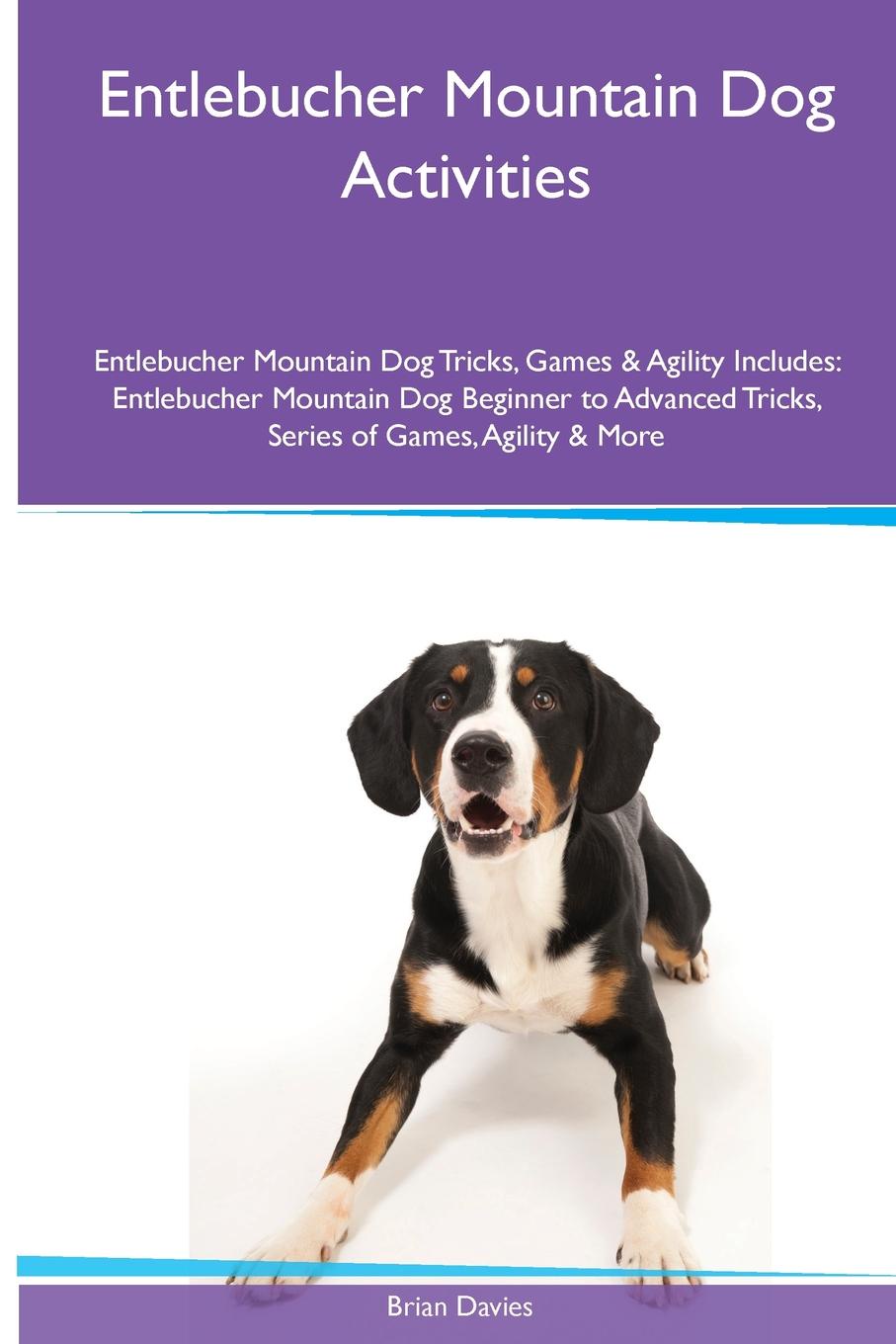 Entlebucher Mountain Dog  Activities Entlebucher Mountain Dog Tricks, Games & Agility. Includes. Entlebucher Mountain Dog Beginner to Advanced Tricks, Series of Games, Agility and More