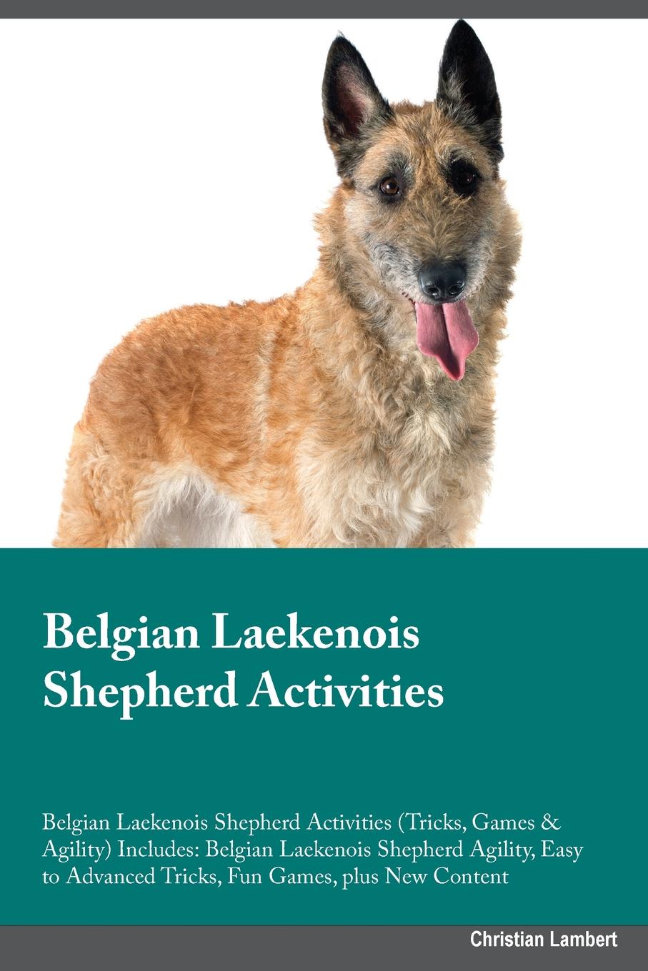 Belgian Laekenois Shepherd Activities Belgian Laekenois Shepherd Activities (Tricks, Games & Agility) Includes. Belgian Laekenois Shepherd Agility, Easy to Advanced Tricks, Fun Games, plus New Content