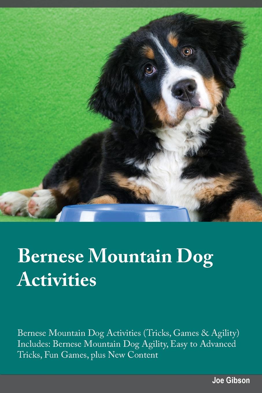 Bernese Mountain Dog Activities Bernese Mountain Dog Activities (Tricks, Games & Agility) Includes. Bernese Mountain Dog Agility, Easy to Advanced Tricks, Fun Games, plus New Content