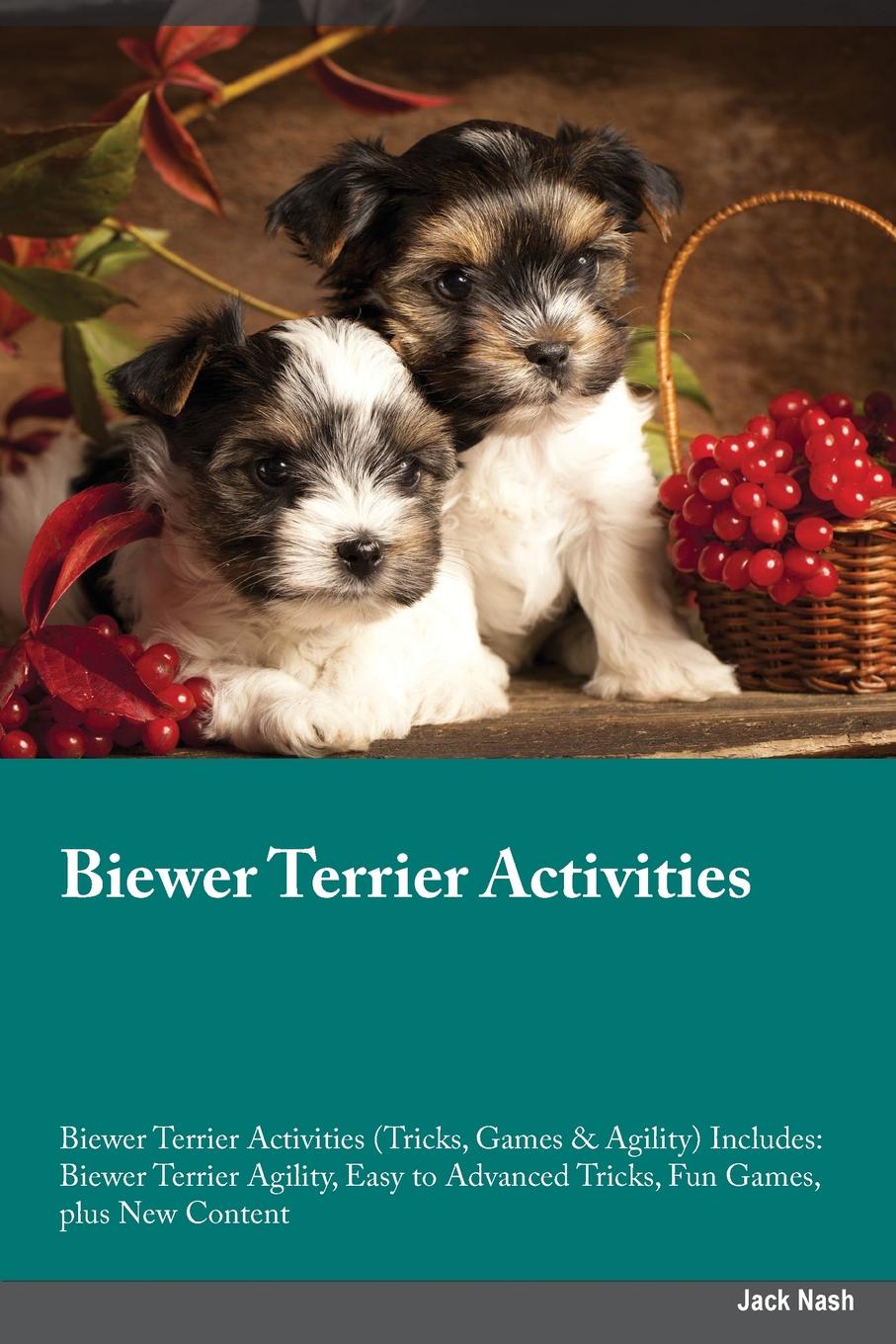 Biewer Terrier Activities Biewer Terrier Activities (Tricks, Games & Agility) Includes. Biewer Terrier Agility, Easy to Advanced Tricks, Fun Games, plus New Content