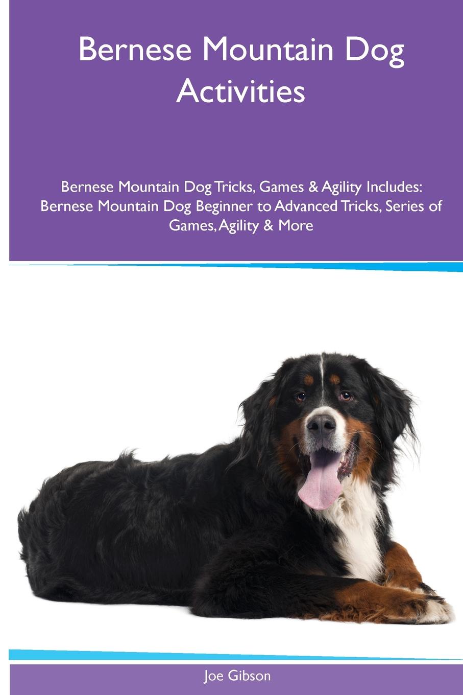 Bernese Mountain Dog  Activities Bernese Mountain Dog Tricks, Games & Agility. Includes. Bernese Mountain Dog Beginner to Advanced Tricks, Series of Games, Agility and More