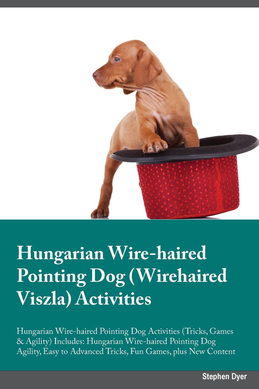 Hungarian Wire-haired Pointing Dog Wirehaired Viszla Activities Hungarian Wire-haired Pointing Dog Activities (Tricks, Games & Agility) Includes. Hungarian Wire-haired Pointing Dog Agility, Easy to Advanced Tricks, Fun Games, plus New Content