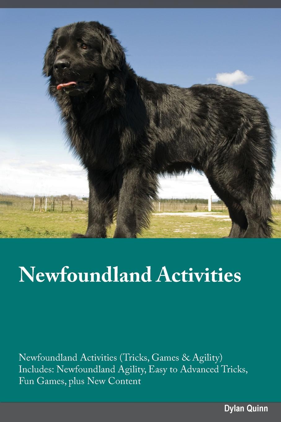 Newfoundland Activities Newfoundland Activities (Tricks, Games & Agility) Includes. Newfoundland Agility, Easy to Advanced Tricks, Fun Games, plus New Content