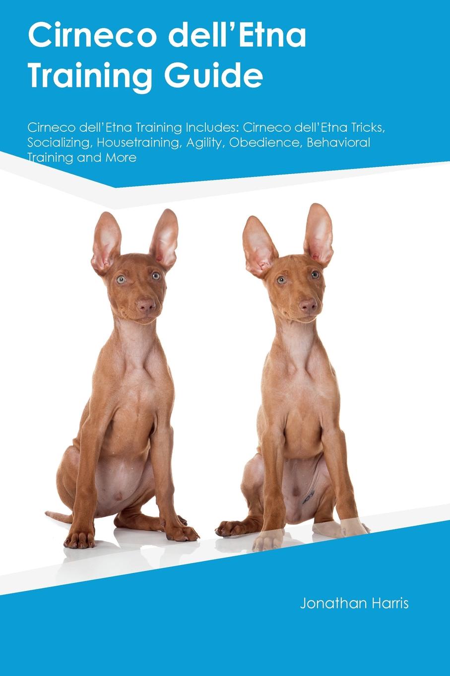 Cirneco dellAEEtna Training Guide Cirneco dellAEEtna Training Includes. Cirneco dellAEEtna Tricks, Socializing, Housetraining, Agility, Obedience, Behavioral Training and More