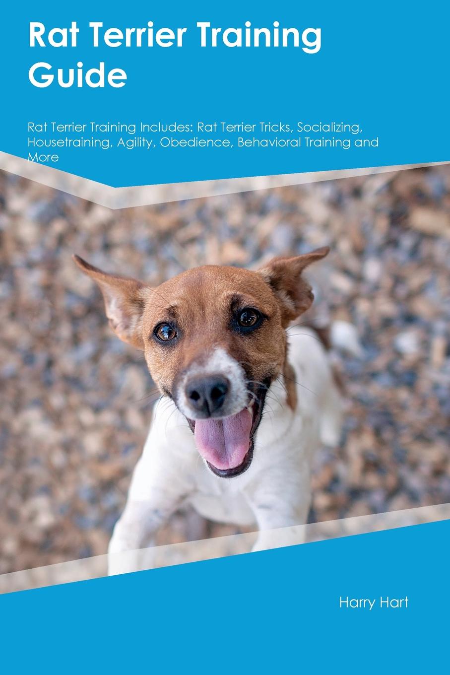 Rat Terrier Training Guide Rat Terrier Training Includes. Rat Terrier Tricks, Socializing, Housetraining, Agility, Obedience, Behavioral Training and More