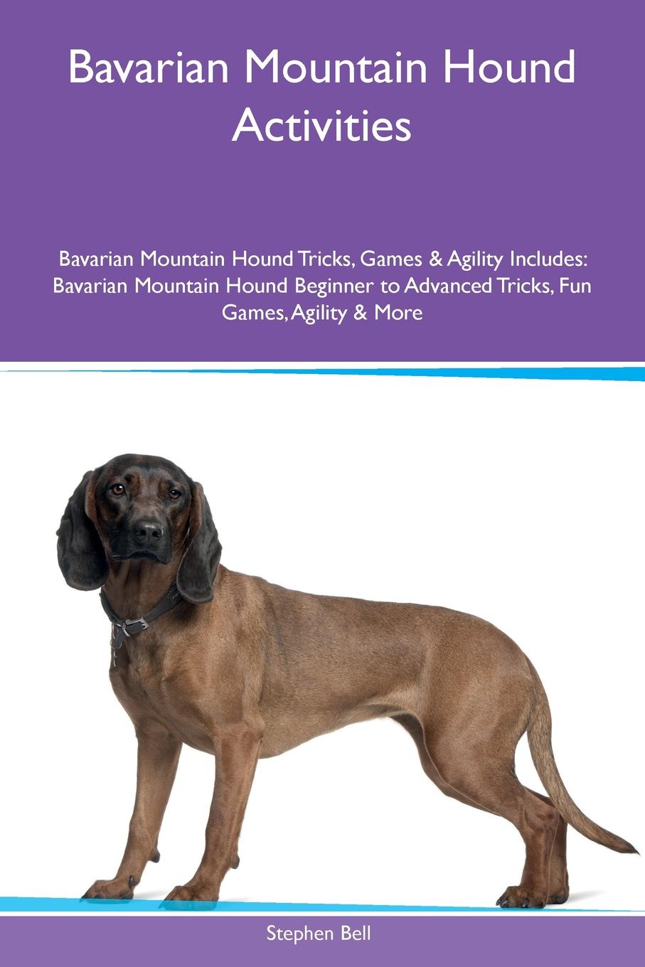 Bavarian Mountain Hound Activities Bavarian Mountain Hound Tricks, Games & Agility Includes. Bavarian Mountain Hound Beginner to Advanced Tricks, Fun Games, Agility & More