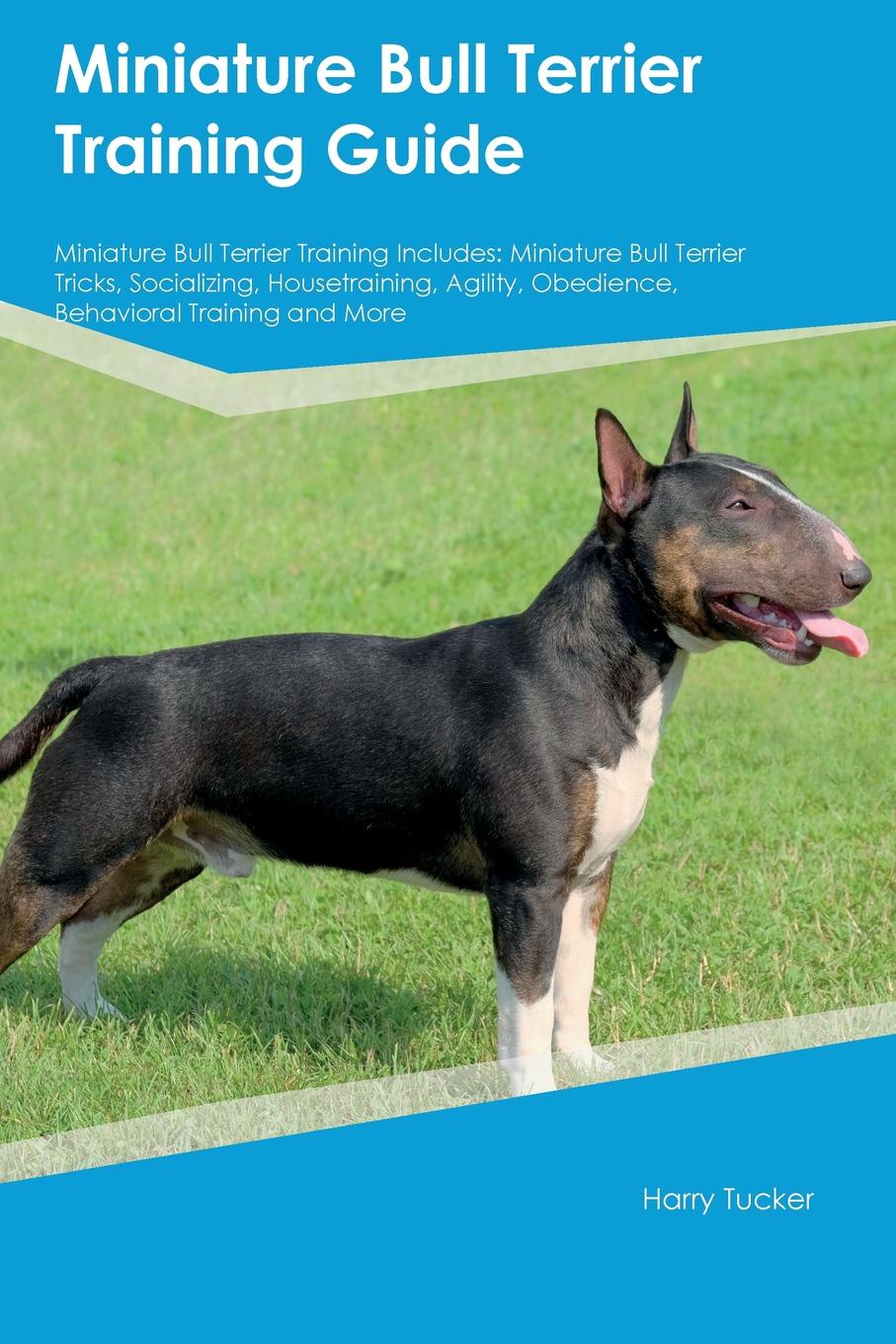 Miniature Bull Terrier Training Guide Miniature Bull Terrier Training Includes. Miniature Bull Terrier Tricks, Socializing, Housetraining, Agility, Obedience, Behavioral Training and More