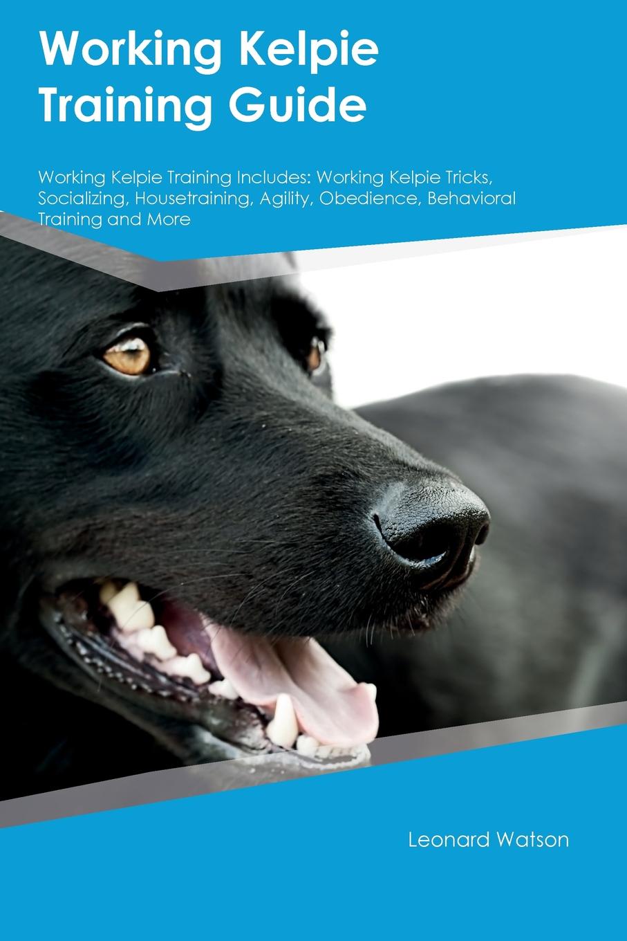 Working Kelpie Training Guide Working Kelpie Training Includes. Working Kelpie Tricks, Socializing, Housetraining, Agility, Obedience, Behavioral Training and More