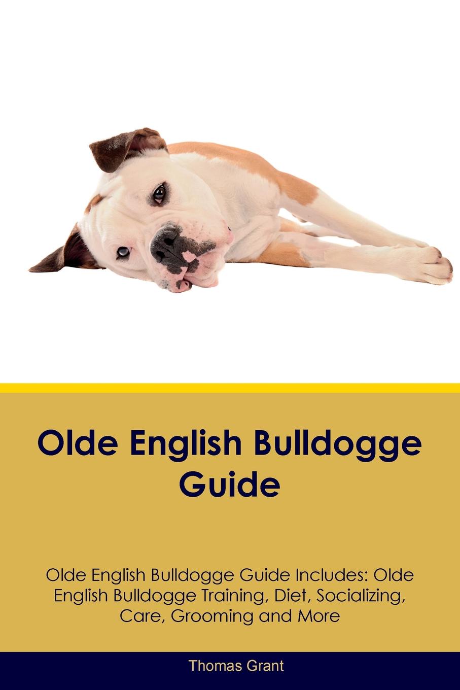 Olde English Bulldogge Guide Olde English Bulldogge Guide Includes. Olde English Bulldogge Training, Diet, Socializing, Care, Grooming, Breeding and More