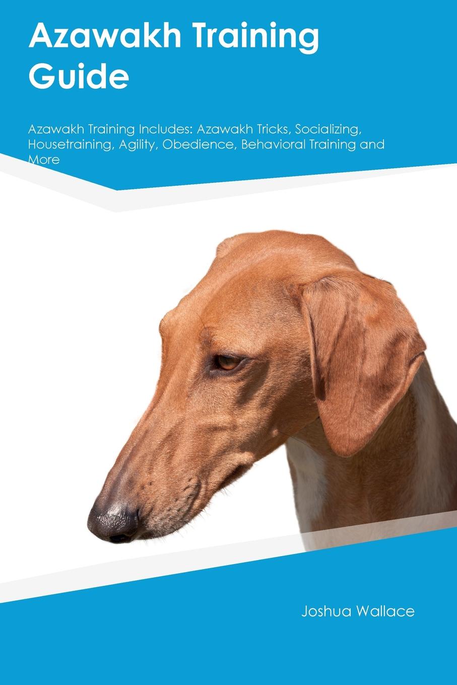 Azawakh Training Guide Azawakh Training Includes. Azawakh Tricks, Socializing, Housetraining, Agility, Obedience, Behavioral Training and More