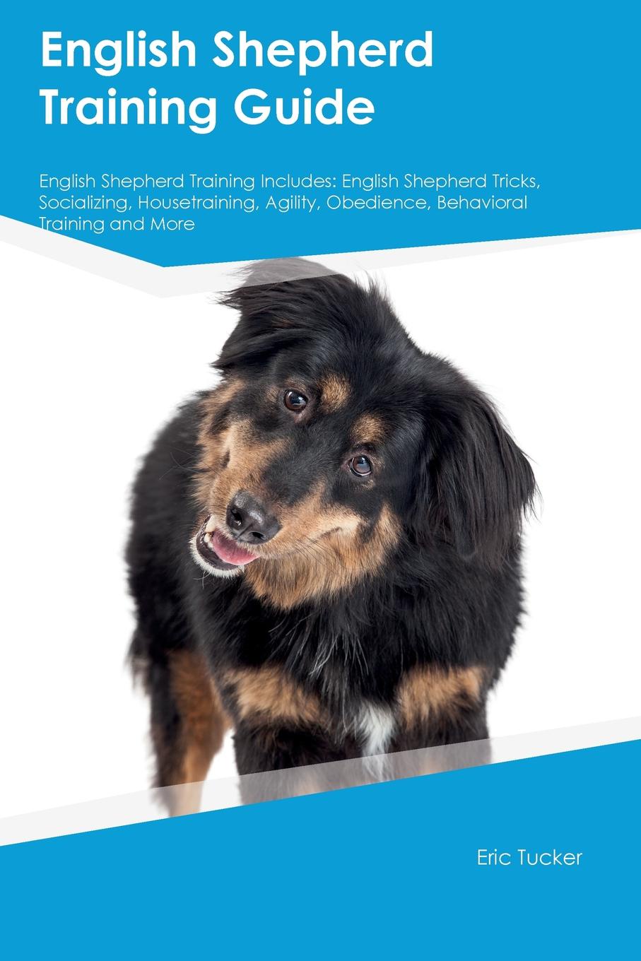 English Shepherd Training Guide English Shepherd Training Includes. English Shepherd Tricks, Socializing, Housetraining, Agility, Obedience, Behavioral Training and More