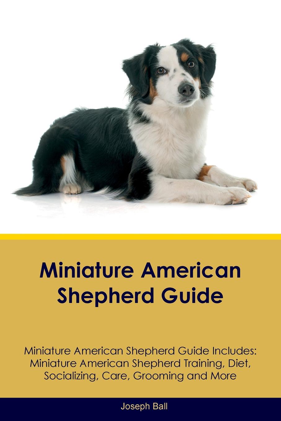 Miniature American Shepherd Guide Miniature American Shepherd Guide Includes. Miniature American Shepherd Training, Diet, Socializing, Care, Grooming, Breeding and More