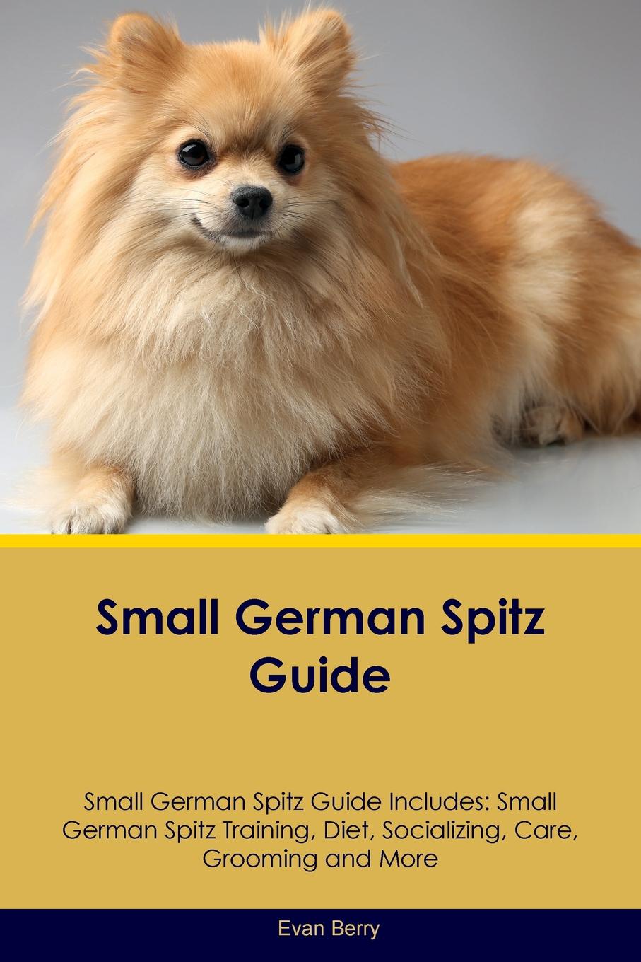Small guide. Small Spitz. Немецкий шпиц с человеком. Немецкий шпиц макси. Сдавайся немецкий шпиц