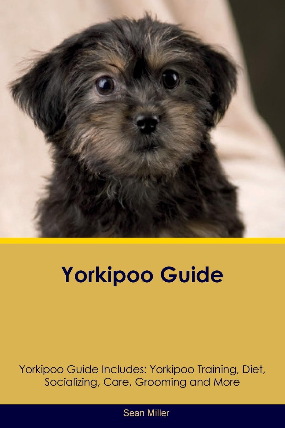 Small guide. Yorkipoo