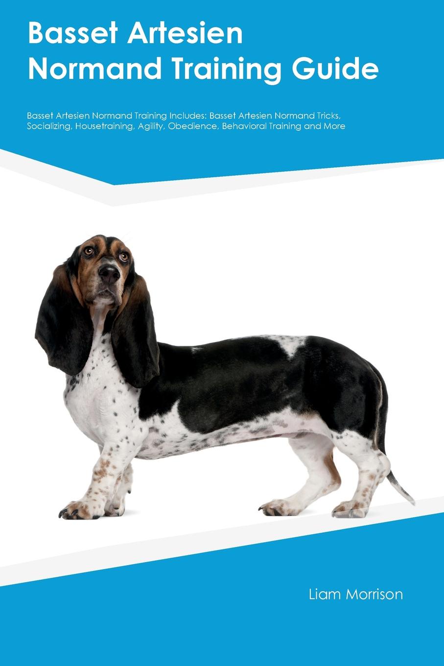 Basset Artesien Normand Training Guide Basset Artesien Normand Training Includes. Basset Artesien Normand Tricks, Socializing, Housetraining, Agility, Obedience, Behavioral Training and More