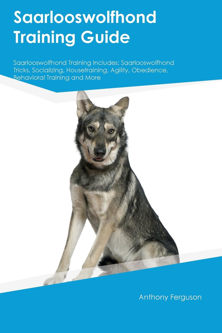 Saarlooswolfhond Training Guide Saarlooswolfhond Training Includes. Saarlooswolfhond Tricks, Socializing, Housetraining, Agility, Obedience, Behavioral Training and More