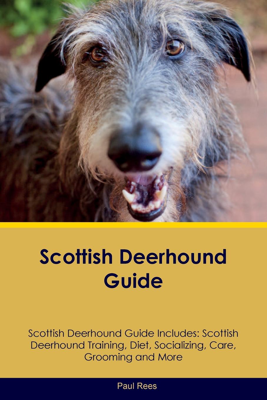 Scottish Deerhound Guide Scottish Deerhound Guide Includes. Scottish Deerhound Training, Diet, Socializing, Care, Grooming, Breeding and More
