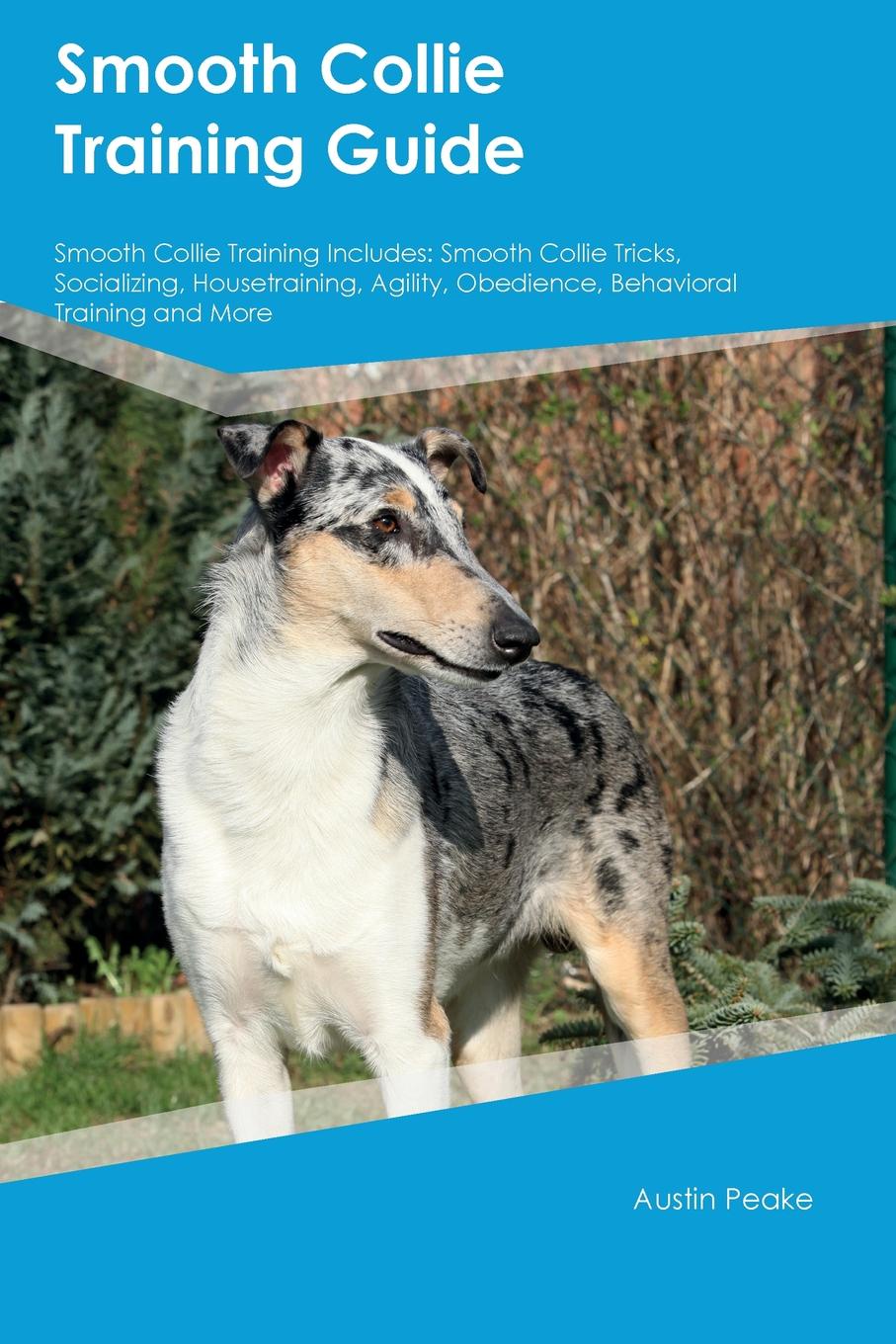 Smooth Collie Training Guide Smooth Collie Training Includes. Smooth Collie Tricks, Socializing, Housetraining, Agility, Obedience, Behavioral Training and More