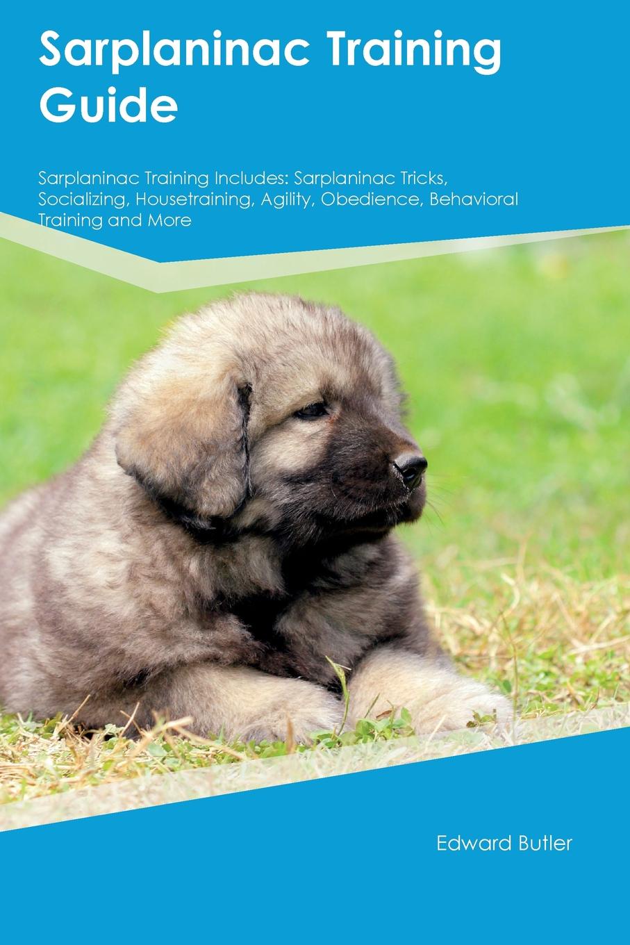 Sarplaninac Training Guide Sarplaninac Training Includes. Sarplaninac Tricks, Socializing, Housetraining, Agility, Obedience, Behavioral Training and More