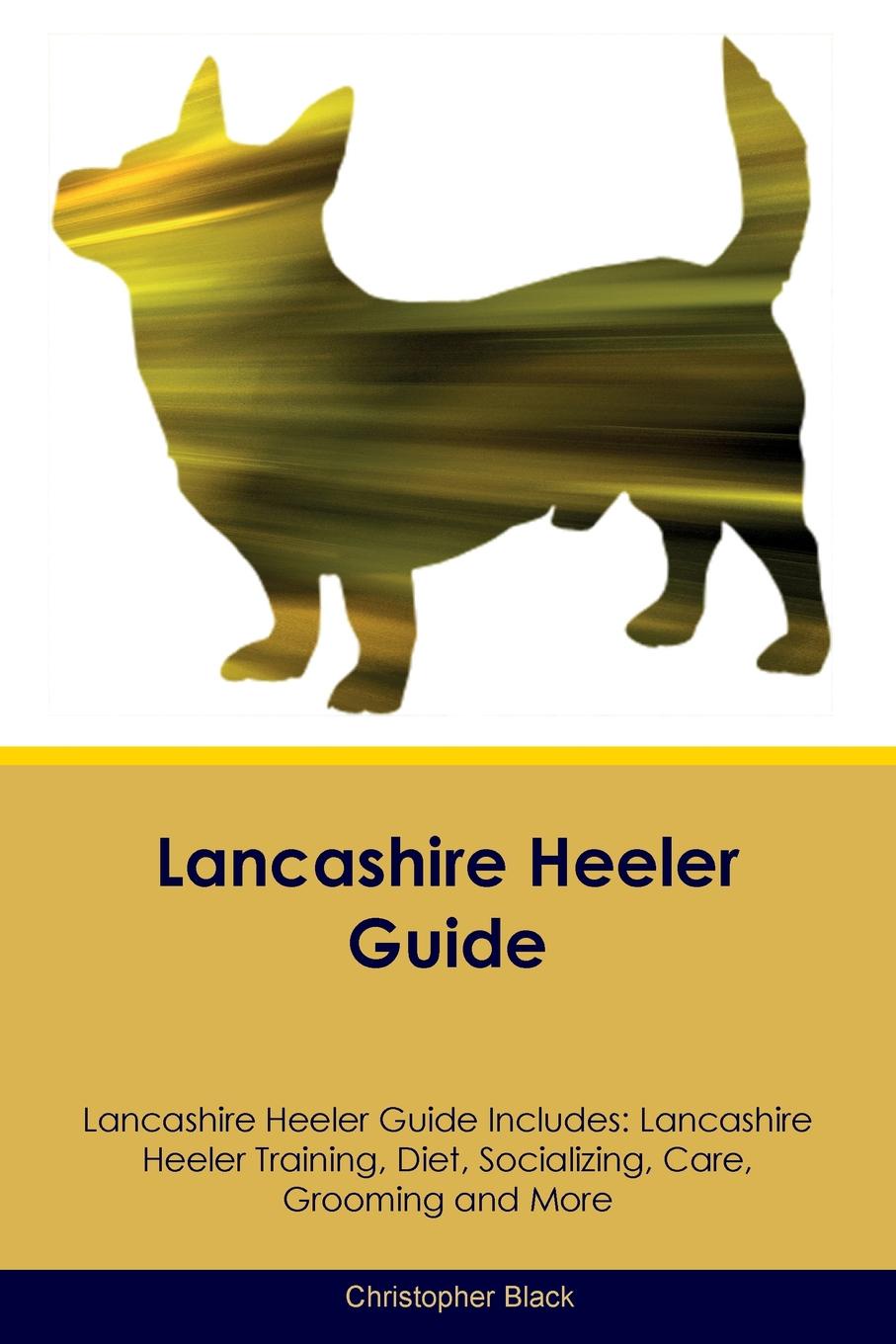 Lancashire Heeler Guide Lancashire Heeler Guide Includes. Lancashire Heeler Training, Diet, Socializing, Care, Grooming, Breeding and More