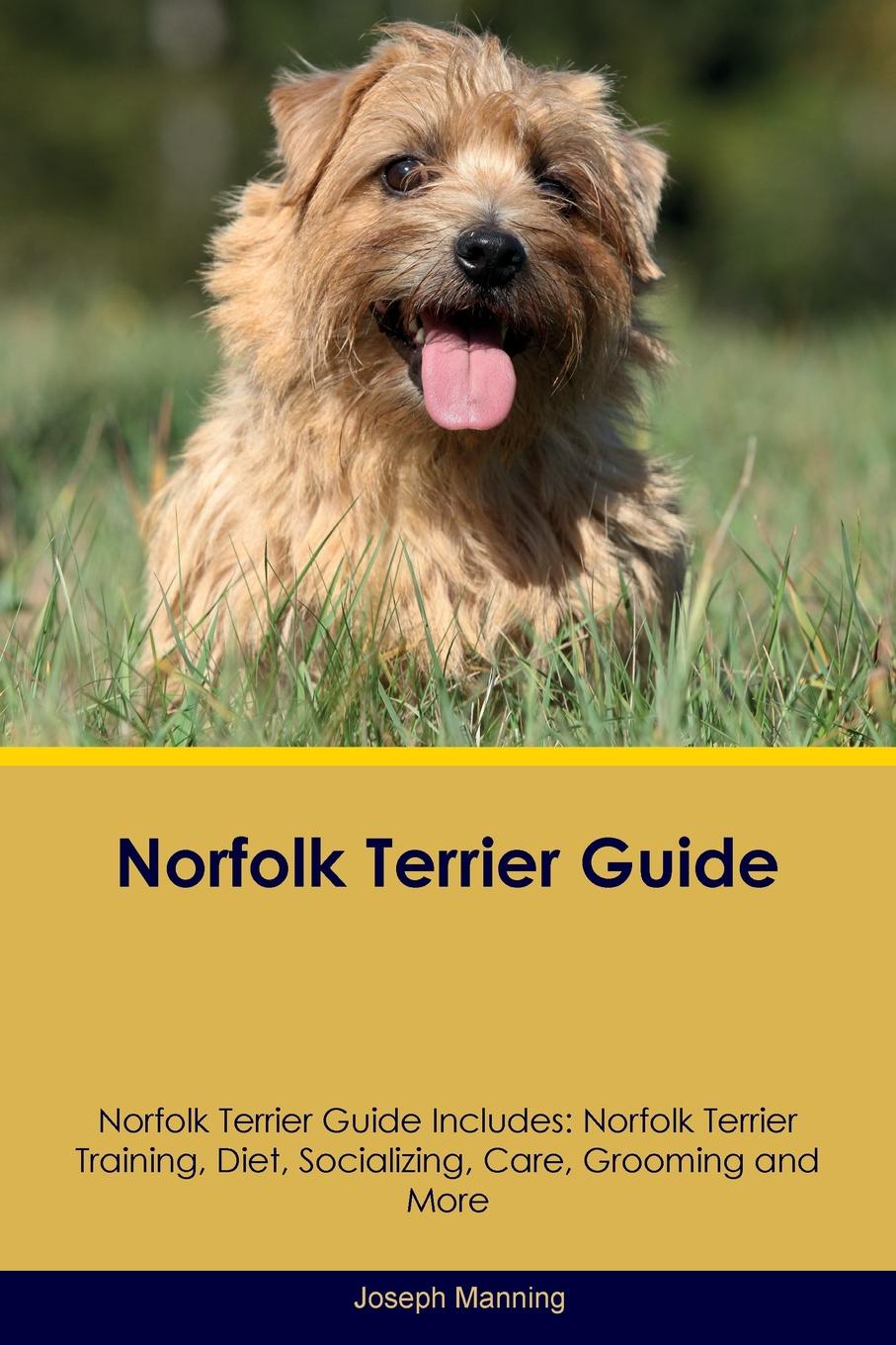 Norfolk Terrier Guide Norfolk Terrier Guide Includes. Norfolk Terrier Training, Diet, Socializing, Care, Grooming, Breeding and More
