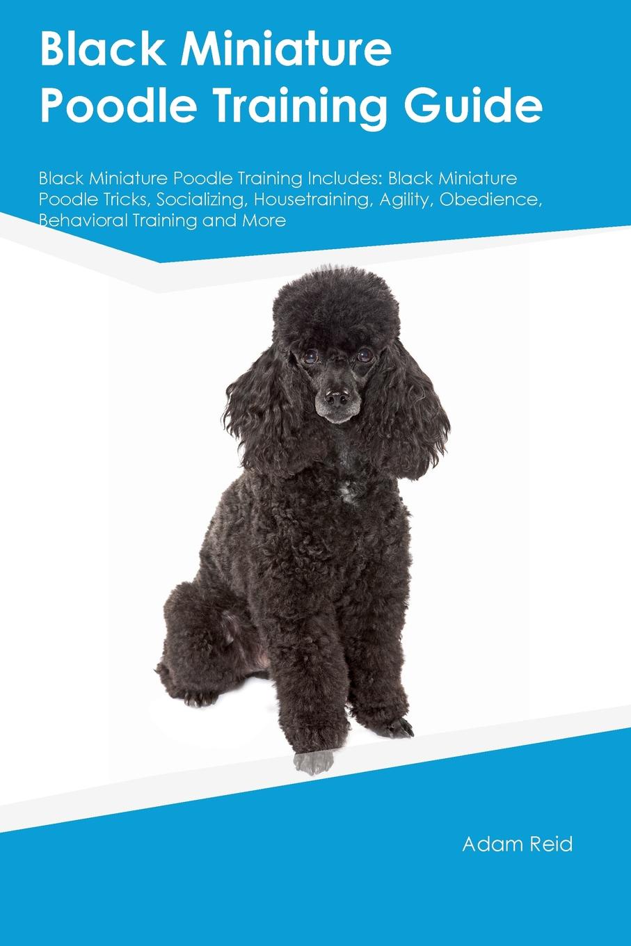 Black Miniature Poodle Training Guide Black Miniature Poodle Training Includes. Black Miniature Poodle Tricks, Socializing, Housetraining, Agility, Obedience, Behavioral Training and More