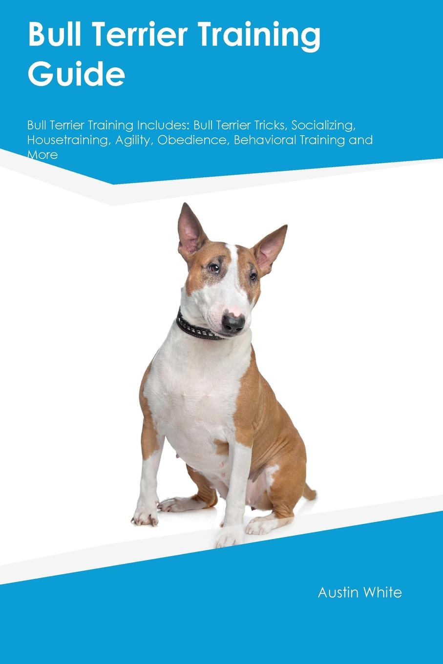 Bull Terrier Training Guide Bull Terrier Training Includes. Bull Terrier Tricks, Socializing, Housetraining, Agility, Obedience, Behavioral Training and More