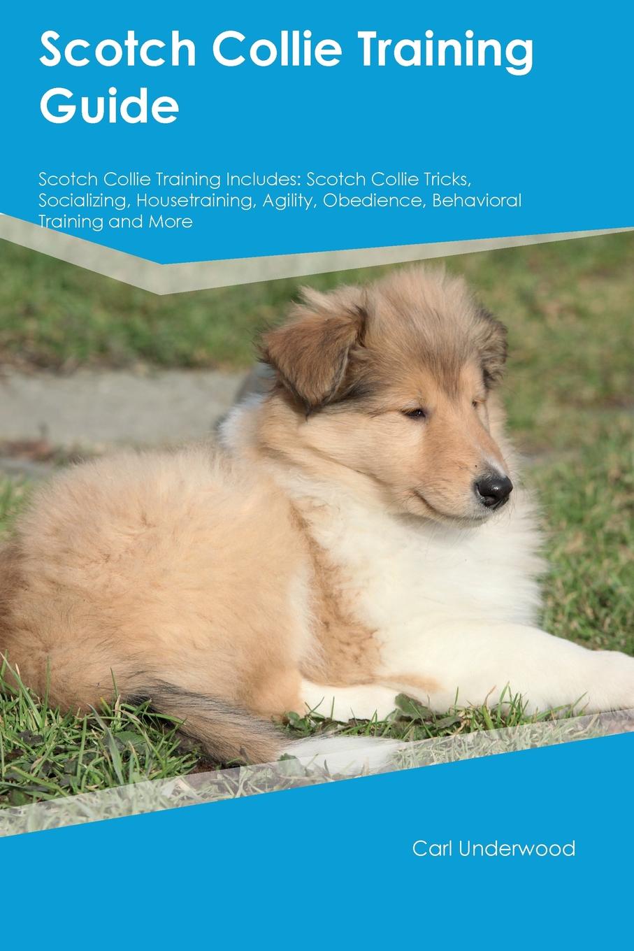 Scotch Collie Training Guide Scotch Collie Training Includes. Scotch Collie Tricks, Socializing, Housetraining, Agility, Obedience, Behavioral Training and More