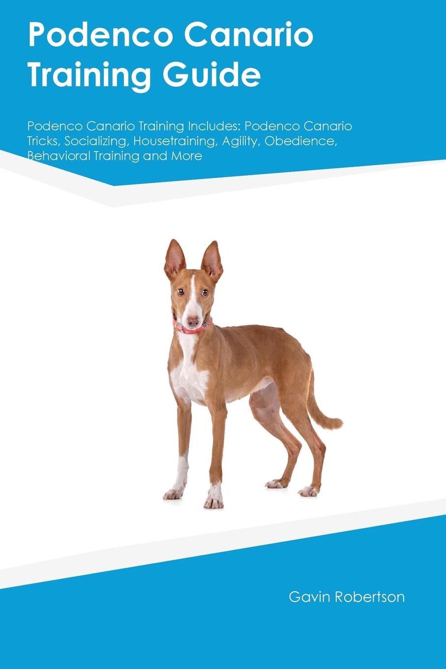 Podenco Canario Training Guide Podenco Canario Training Includes. Podenco Canario Tricks, Socializing, Housetraining, Agility, Obedience, Behavioral Training and More