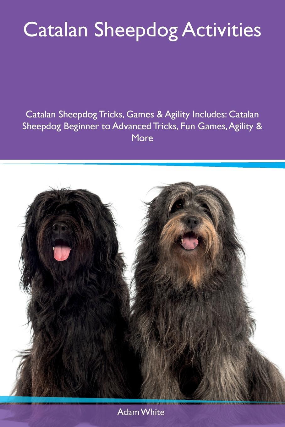 Catalan Sheepdog Activities Catalan Sheepdog Tricks, Games & Agility Includes. Catalan Sheepdog Beginner to Advanced Tricks, Fun Games, Agility & More