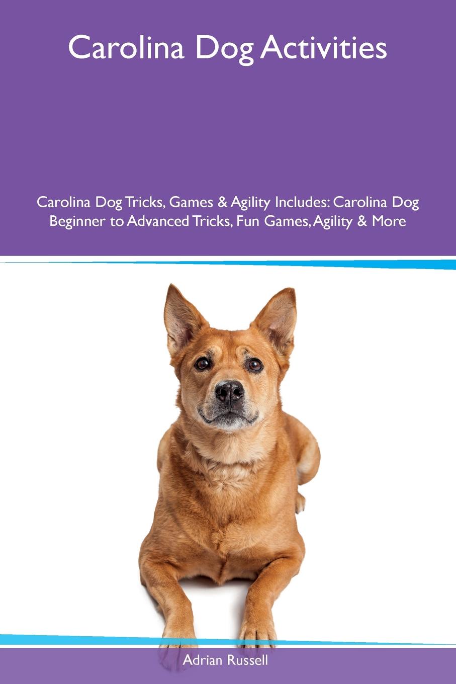 Carolina Dog Activities Carolina Dog Tricks, Games & Agility Includes. Carolina Dog Beginner to Advanced Tricks, Fun Games, Agility & More