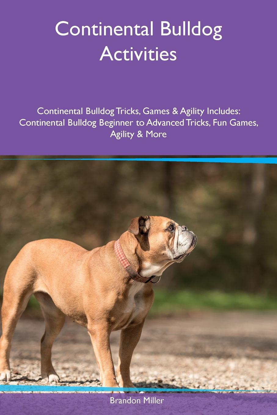 Continental Bulldog Activities Continental Bulldog Tricks, Games & Agility Includes. Continental Bulldog Beginner to Advanced Tricks, Fun Games, Agility & More