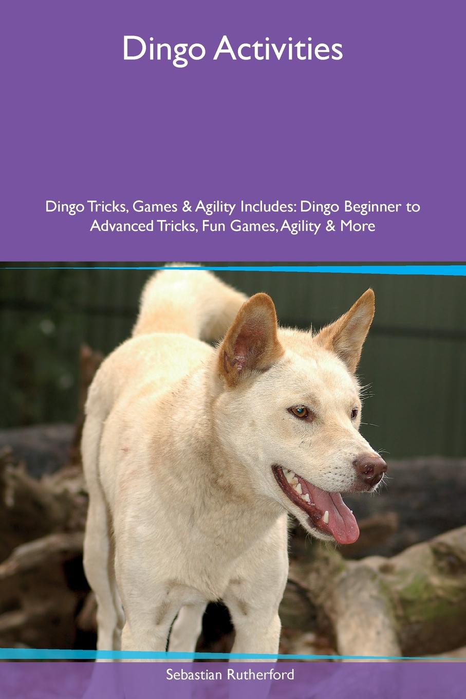 Dingo Activities Dingo Tricks, Games & Agility Includes. Dingo Beginner to Advanced Tricks, Fun Games, Agility & More
