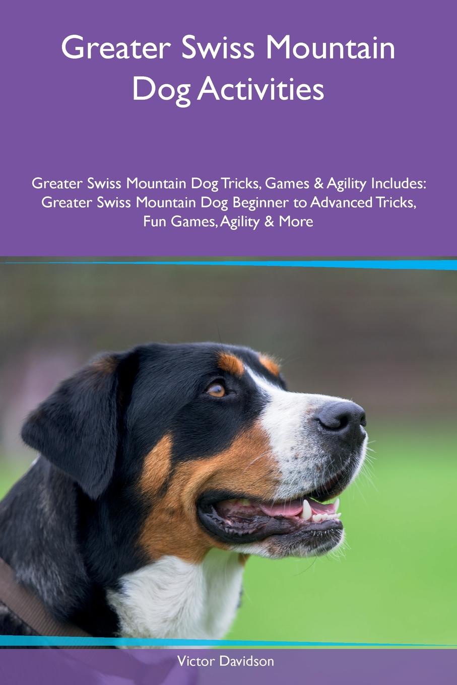 Greater Swiss Mountain Dog Activities Greater Swiss Mountain Dog Tricks, Games & Agility Includes. Greater Swiss Mountain Dog Beginner to Advanced Tricks, Fun Games, Agility & More