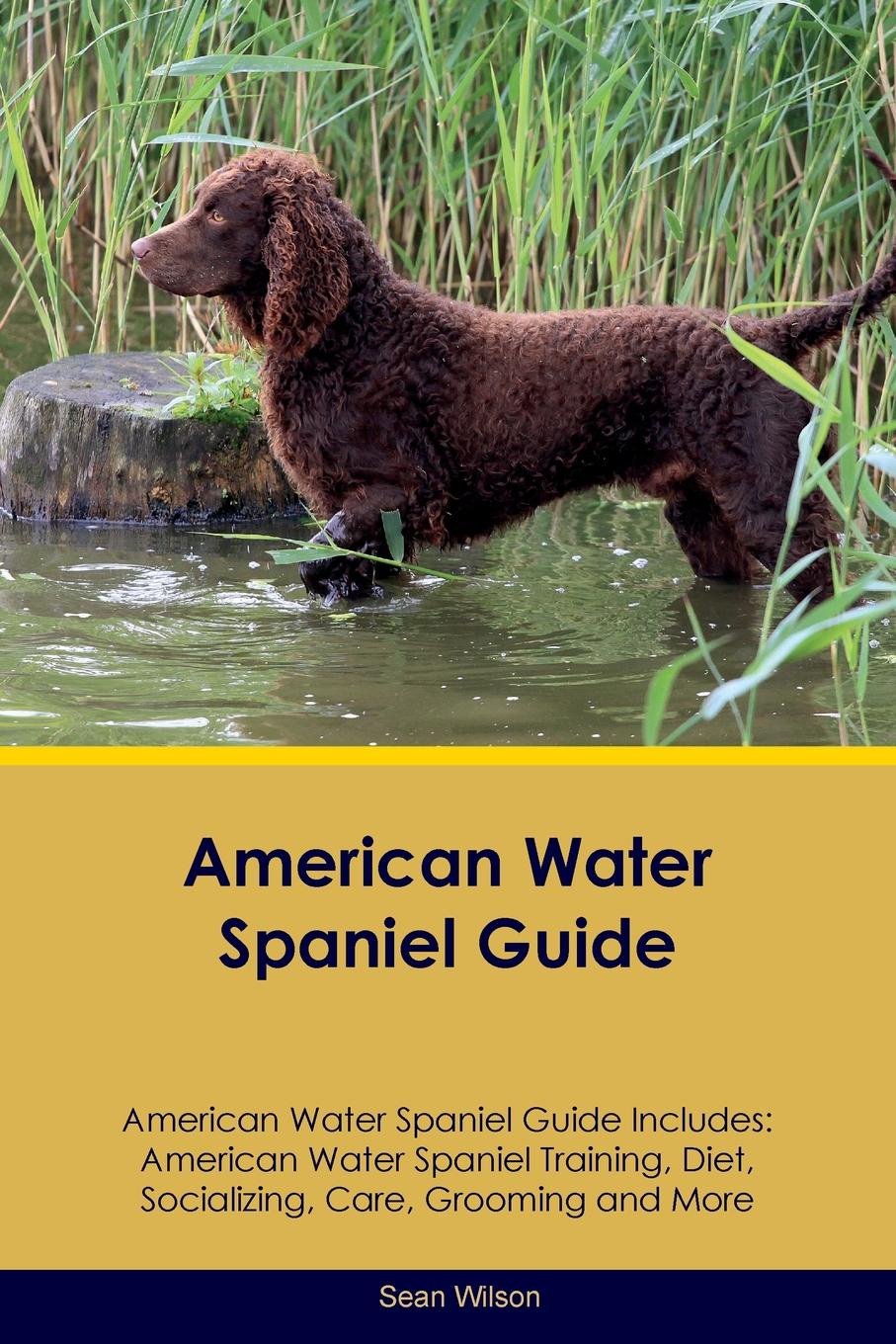 American Water Spaniel Guide American Water Spaniel Guide Includes. American Water Spaniel Training, Diet, Socializing, Care, Grooming, Breeding and More