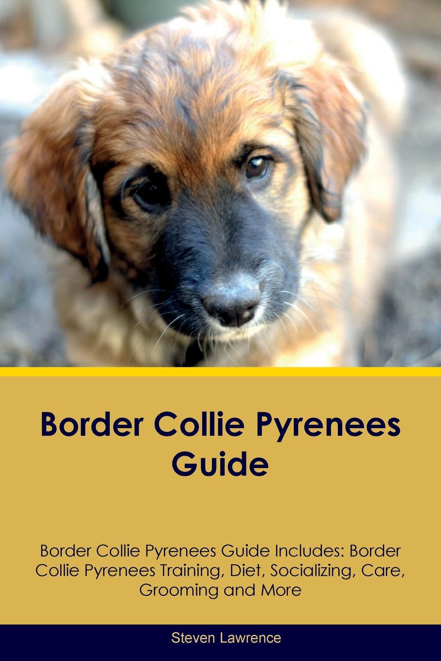 Border Collie Pyrenees Guide Border Collie Pyrenees Guide Includes. Border Collie Pyrenees Training, Diet, Socializing, Care, Grooming, Breeding and More