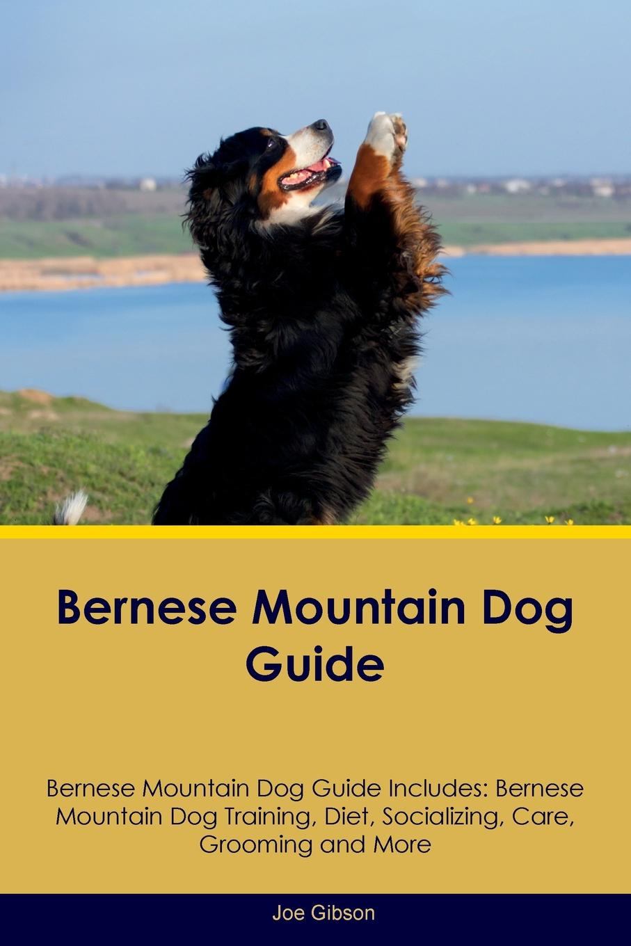 Bernese Mountain Dog Guide Bernese Mountain Dog Guide Includes. Bernese Mountain Dog Training, Diet, Socializing, Care, Grooming, Breeding and More