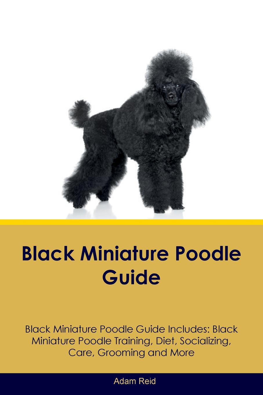 Black Miniature Poodle Guide Black Miniature Poodle Guide Includes. Black Miniature Poodle Training, Diet, Socializing, Care, Grooming, Breeding and More