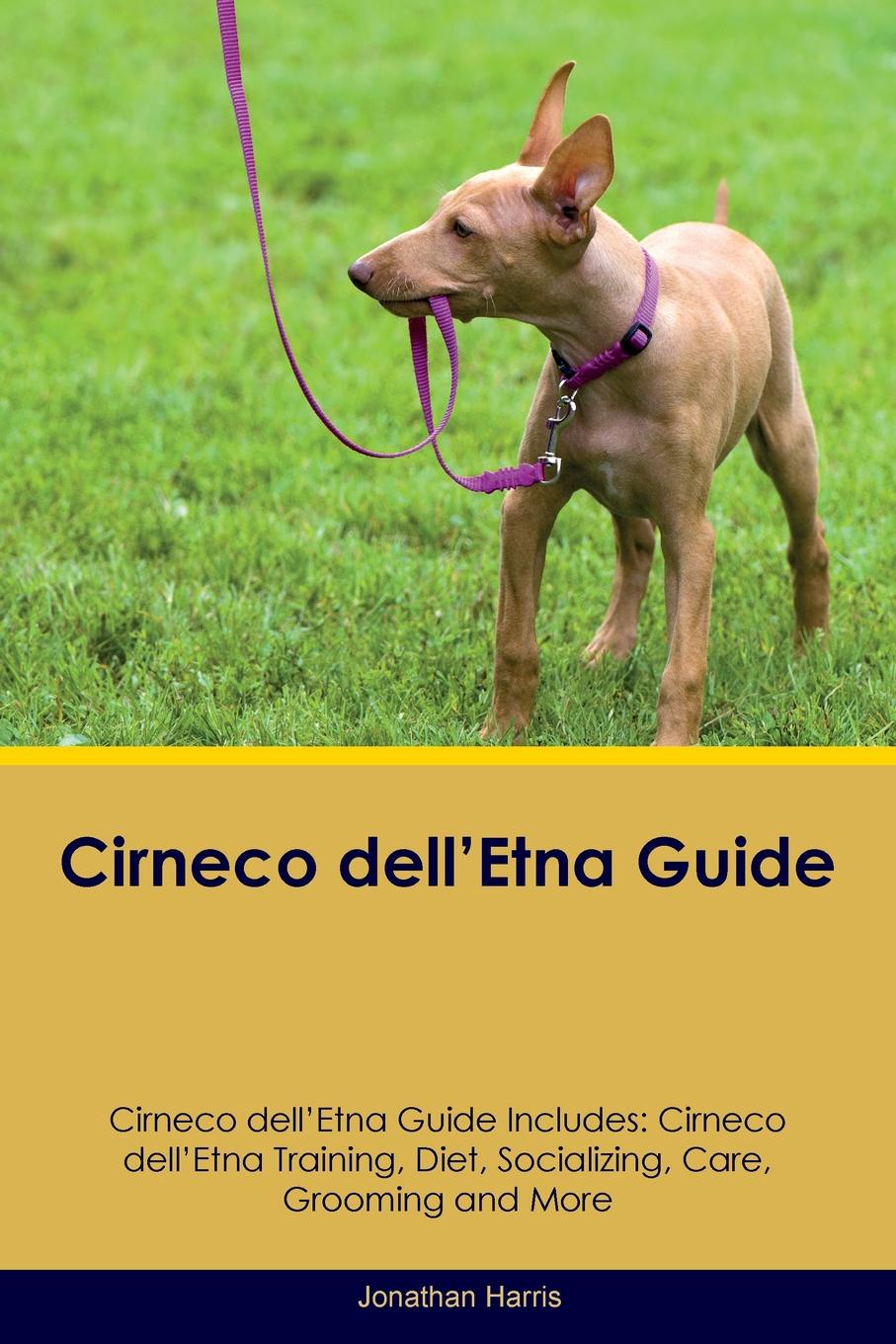 Cirneco dell`Etna Guide Cirneco dell`Etna Guide Includes. Cirneco dell`Etna Training, Diet, Socializing, Care, Grooming, Breeding and More