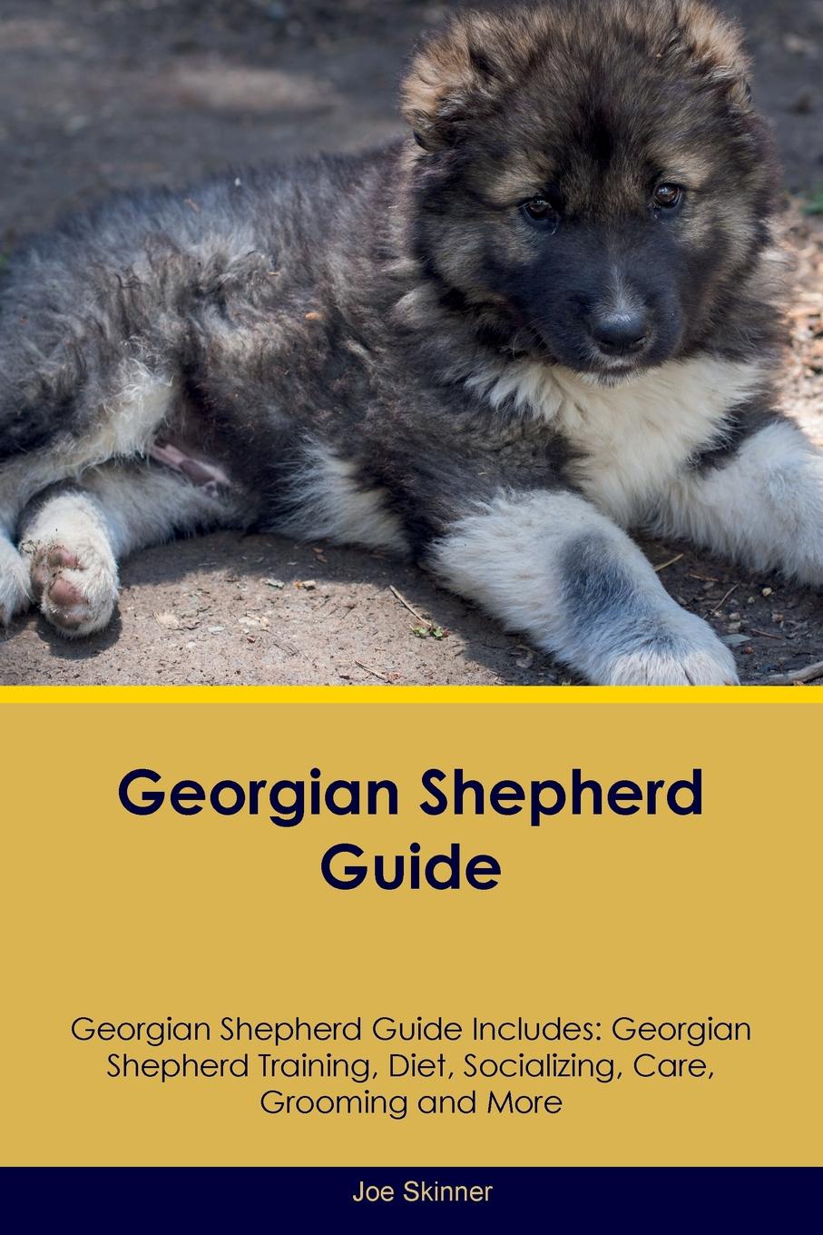 Georgian Shepherd Guide Georgian Shepherd Guide Includes. Georgian Shepherd Training, Diet, Socializing, Care, Grooming, Breeding and More