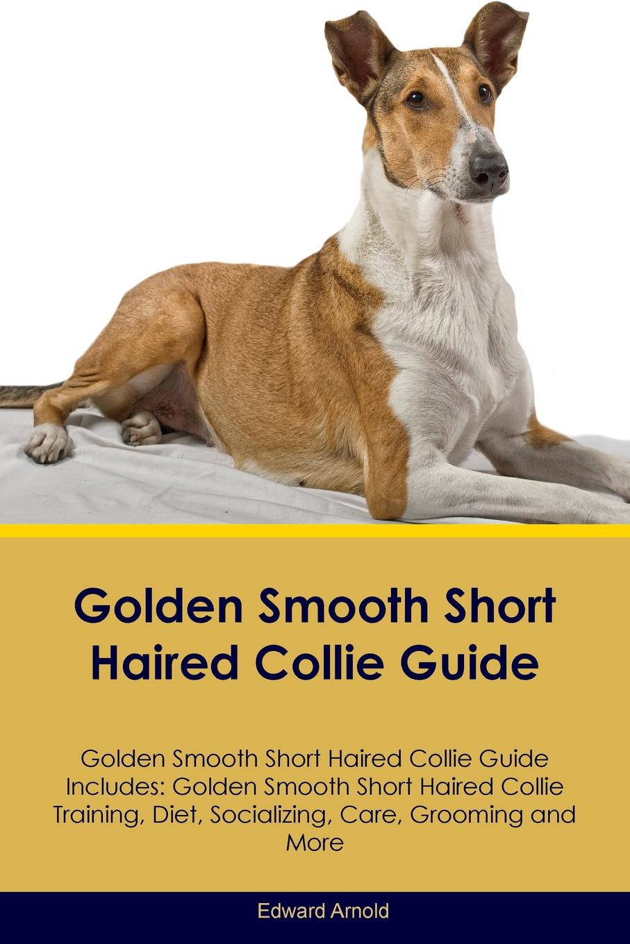 Golden Smooth Short Haired Collie Guide Golden Smooth Short Haired Collie Guide Includes. Golden Smooth Short Haired Collie Training, Diet, Socializing, Care, Grooming, Breeding and More