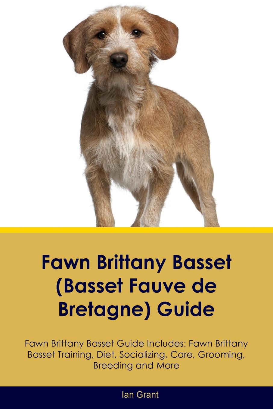 Fawn Brittany Basset (Basset Fauve de Bretagne) Guide Fawn Brittany Basset Guide Includes. Fawn Brittany Basset Training, Diet, Socializing, Care, Grooming, Breeding and More