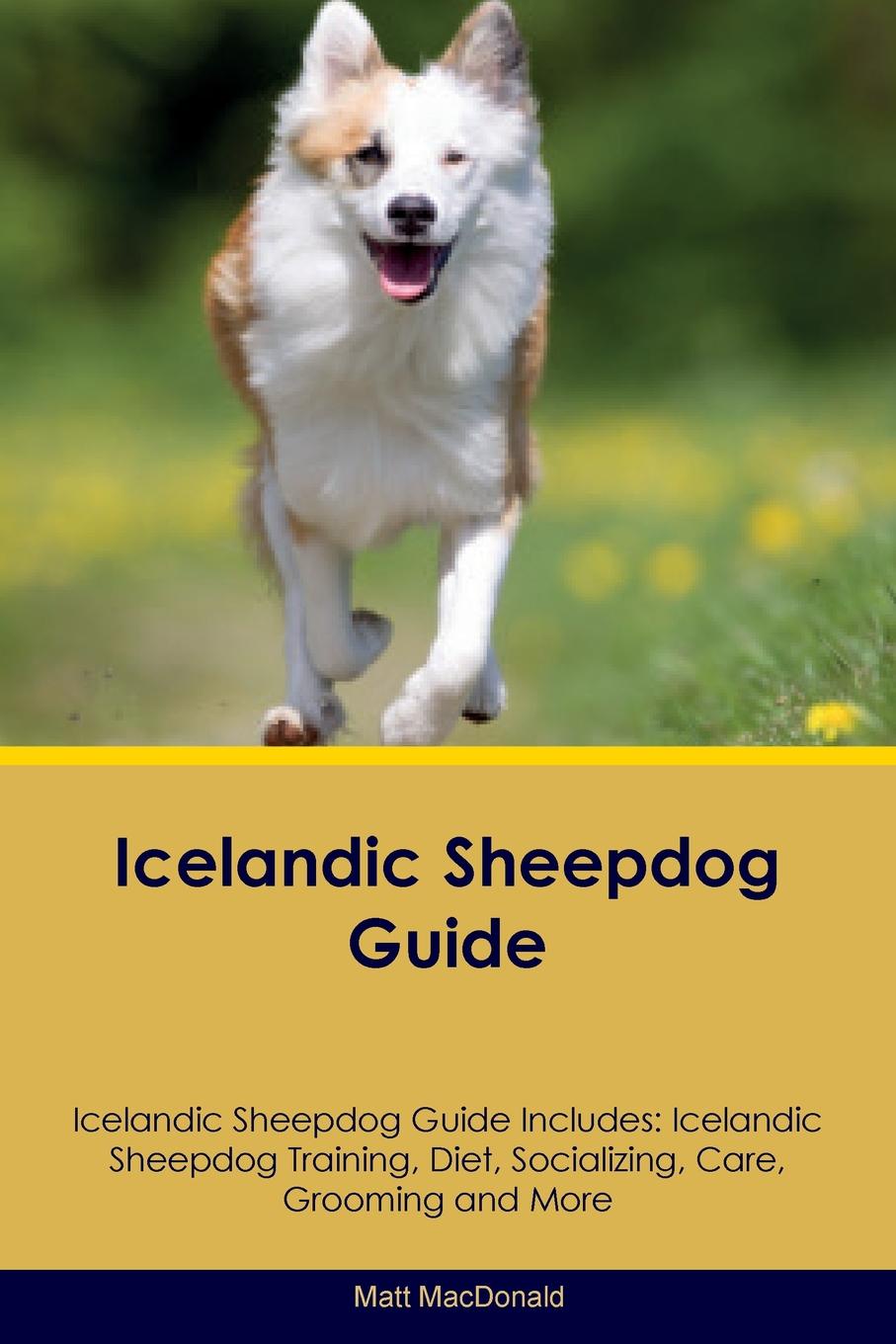 Icelandic Sheepdog Guide Icelandic Sheepdog Guide Includes. Icelandic Sheepdog Training, Diet, Socializing, Care, Grooming, Breeding and More