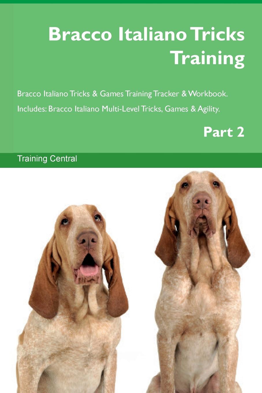 Training Central Bracco Italiano Tricks Training Bracco Italiano Tricks & Games Training Tracker & Workbook. Includes. Bracco Italiano Multi-Level Tricks, Games & Agility. Part 2 Training Central Bracco Italiano Tricks Training Bracco Italiano Tricks & Games Training Tracker & Workbook. Includes. Bracco Italiano Multi-Level Tricks, Games & Agility. Part 2
