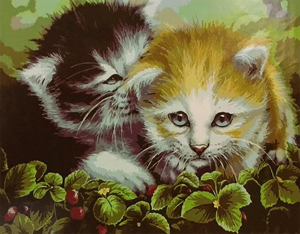 Картина по номерам кошка. Картины коты Paintboy. Paintboy котята и бабочка. Алмазная мозаика Paintboy котята.